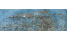 Трубка топливная для МАЗ 5440 51103006023