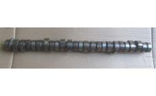 Распредвал для Renault Premium DXI 21189194