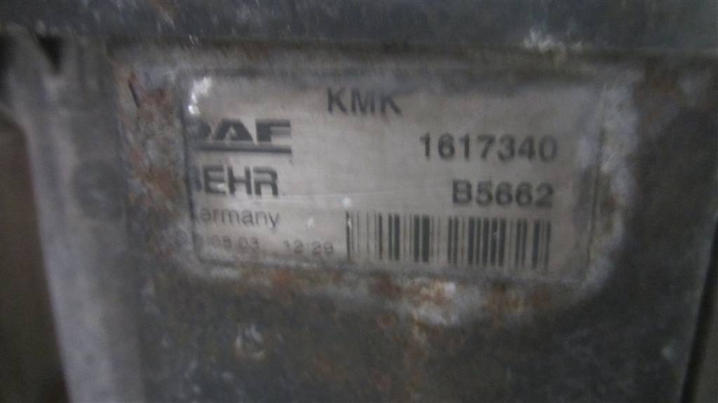 Радиатор (основной) для DAF Xf 95 1617340