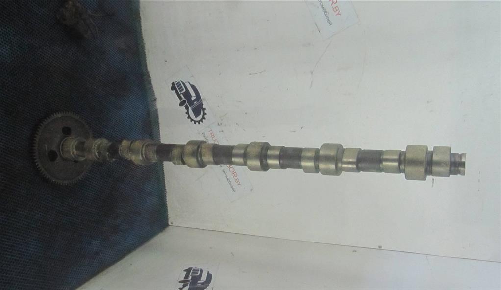 Распредвал для Renault Premium Dci 5010550875