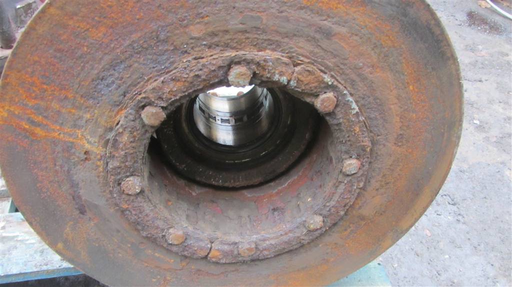 Ступица задняя для Renault Magnum DXI 7420535263